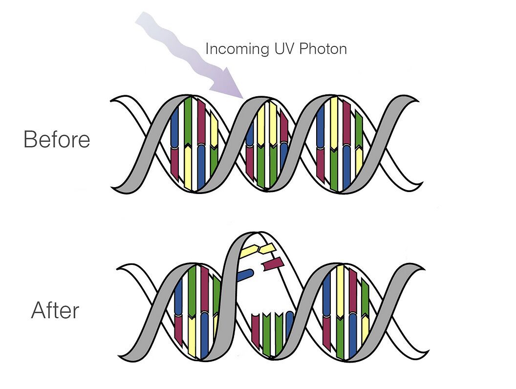 UV wavelength