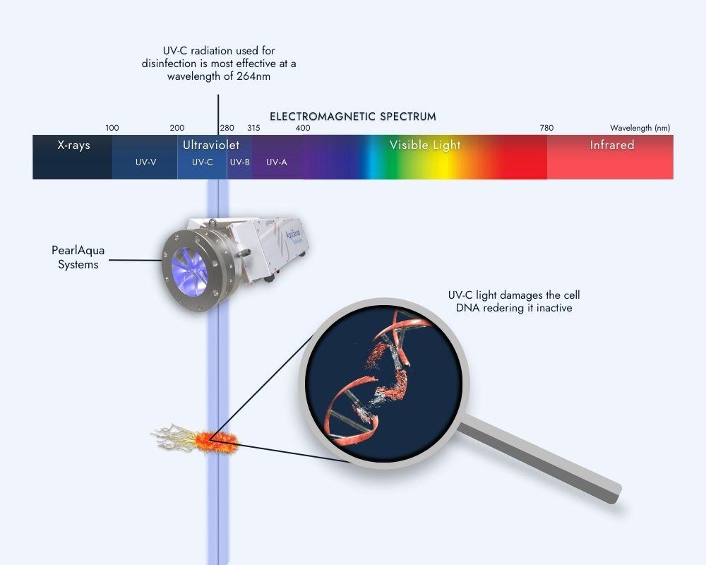 How UV water treatment works