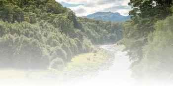 environmental risks of mercury